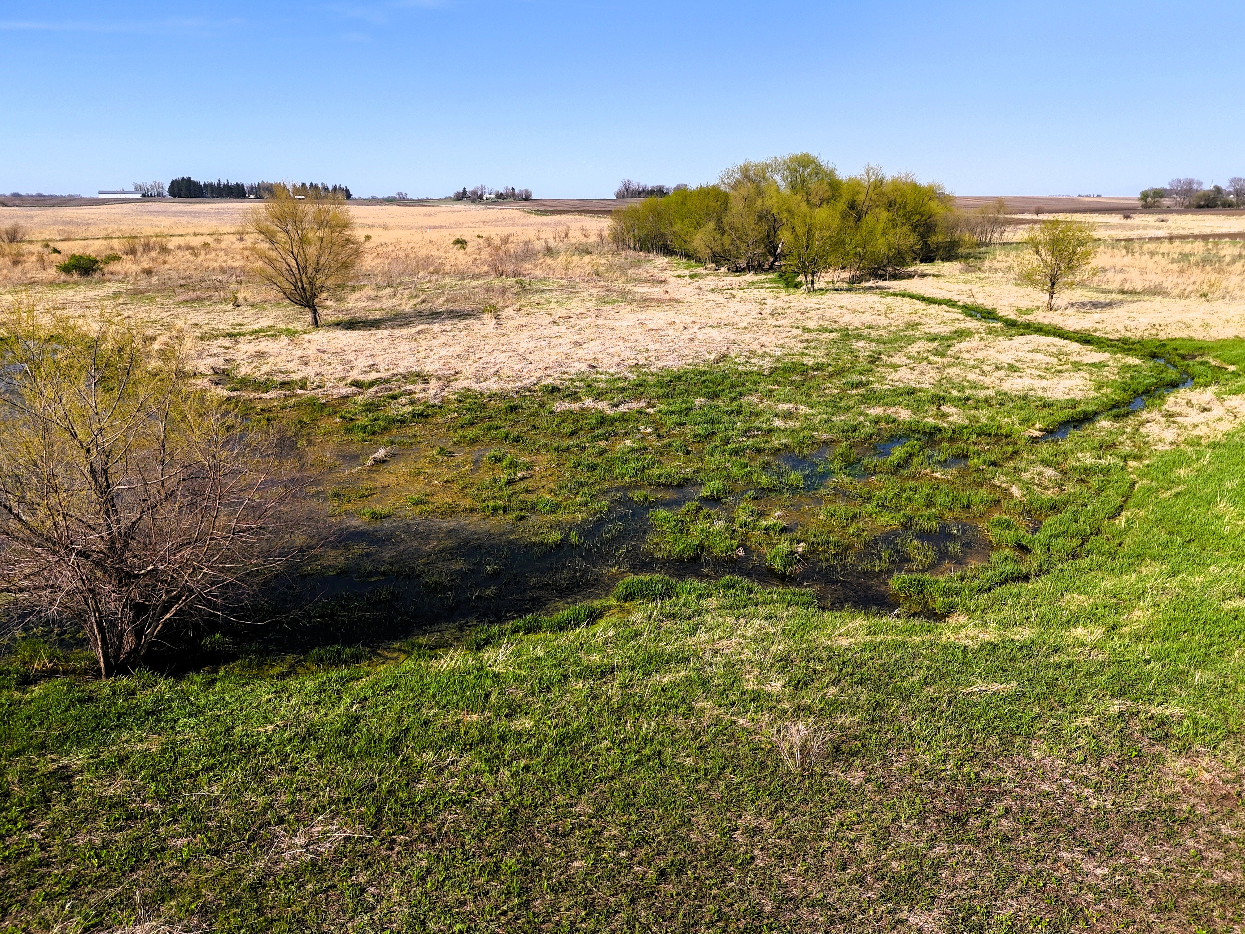 Listing Photo: Ground 4